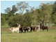 Pittsworth QLD 4356