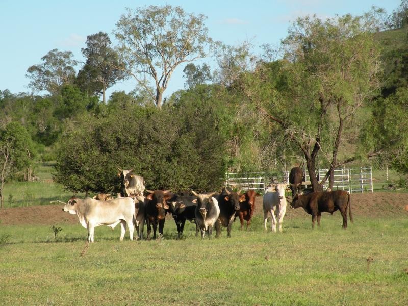 Pittsworth QLD 4356
