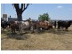 Pittsworth QLD 4356