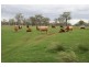 Aubigny QLD 4401