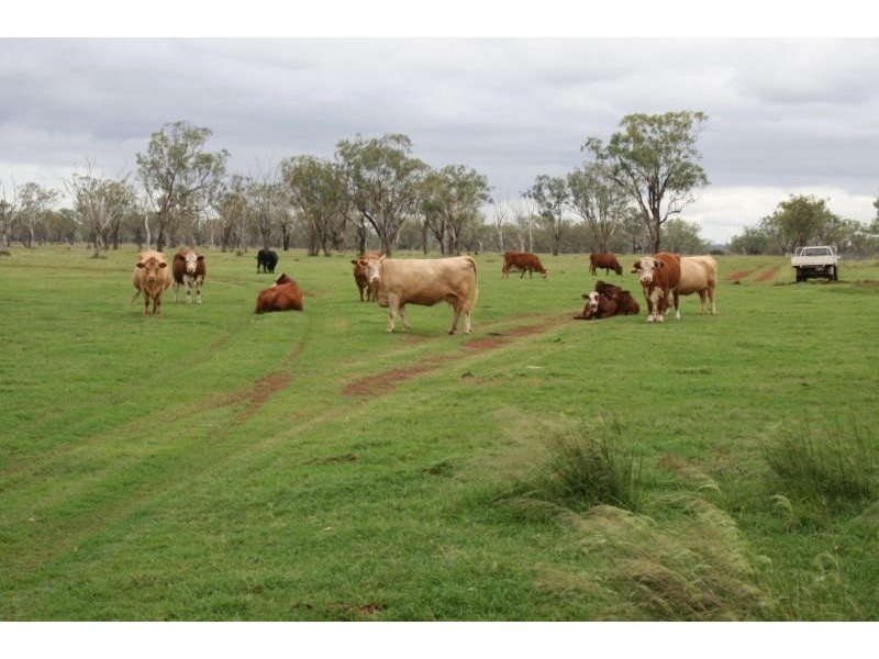 Aubigny QLD 4401