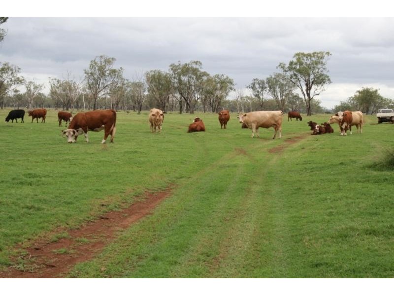 Aubigny QLD 4401