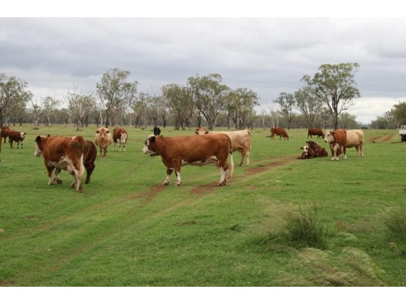 Aubigny QLD 4401