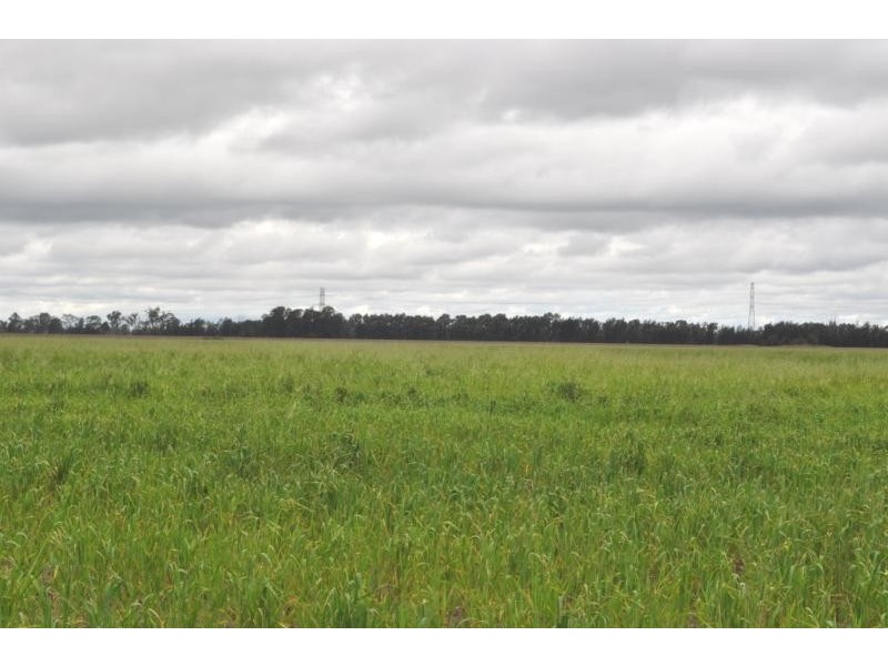 Millmerran QLD 4357