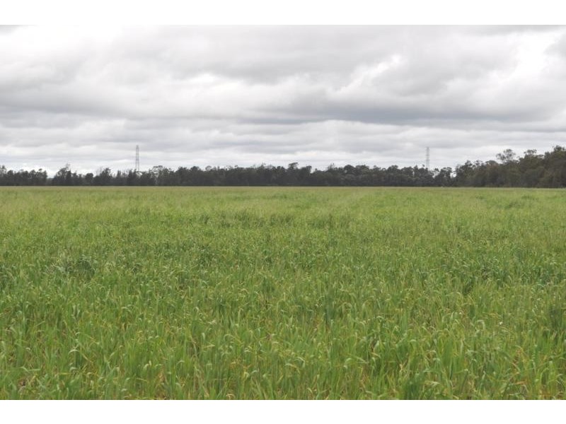 Millmerran QLD 4357