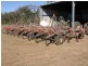 Millmerran QLD 4357