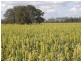 Millmerran QLD 4357