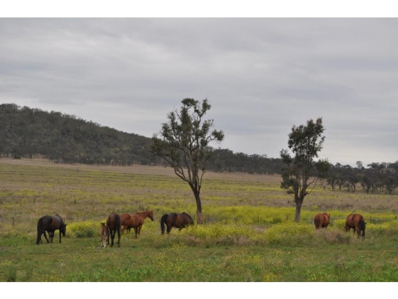 Brookvale Jimna Springs Road, Southbrook QLD 4363