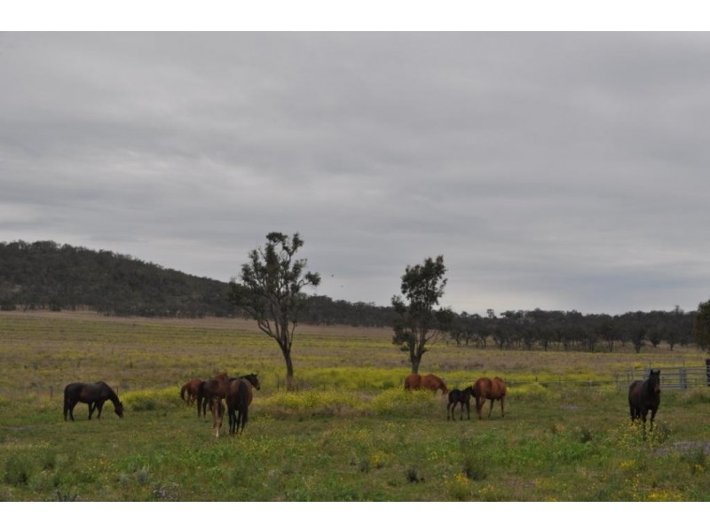 Brookvale Jimna Springs Road, Southbrook QLD 4363