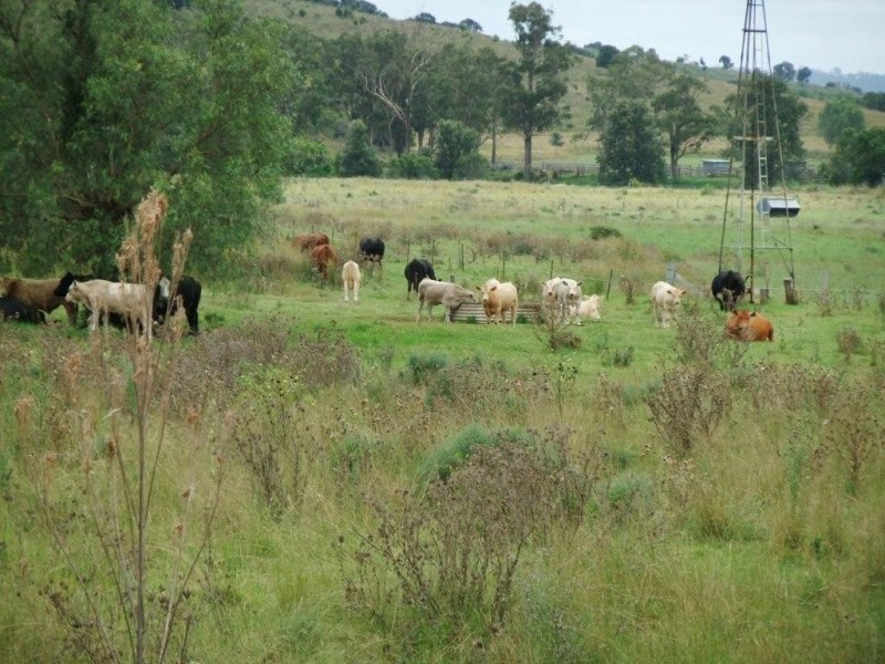 Lot 381 Djuan Road, Haden QLD 4353
