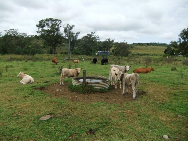 Lot 381 Djuan Road, Haden QLD 4353