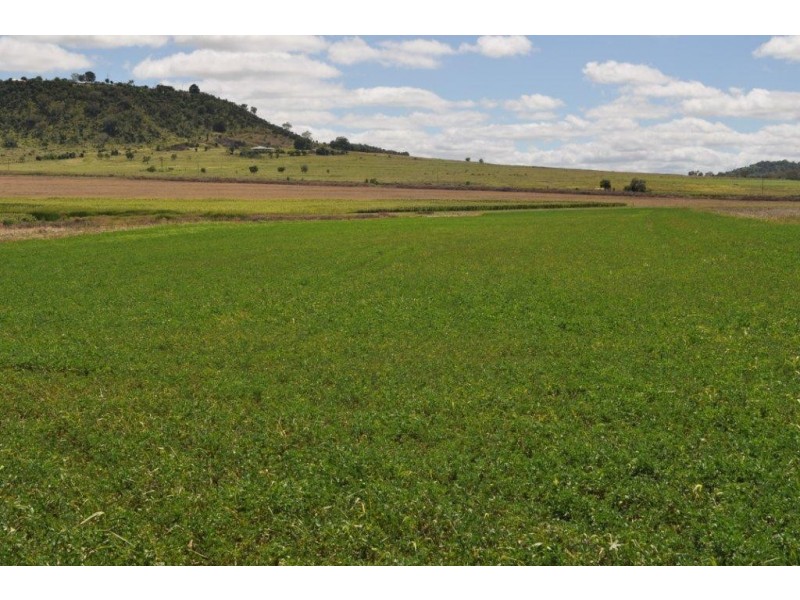 123 Glencoe Road, Kingsthorpe QLD 4400