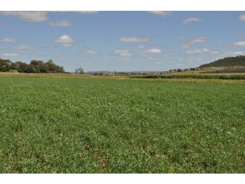 123 Glencoe Road, Kingsthorpe QLD 4400