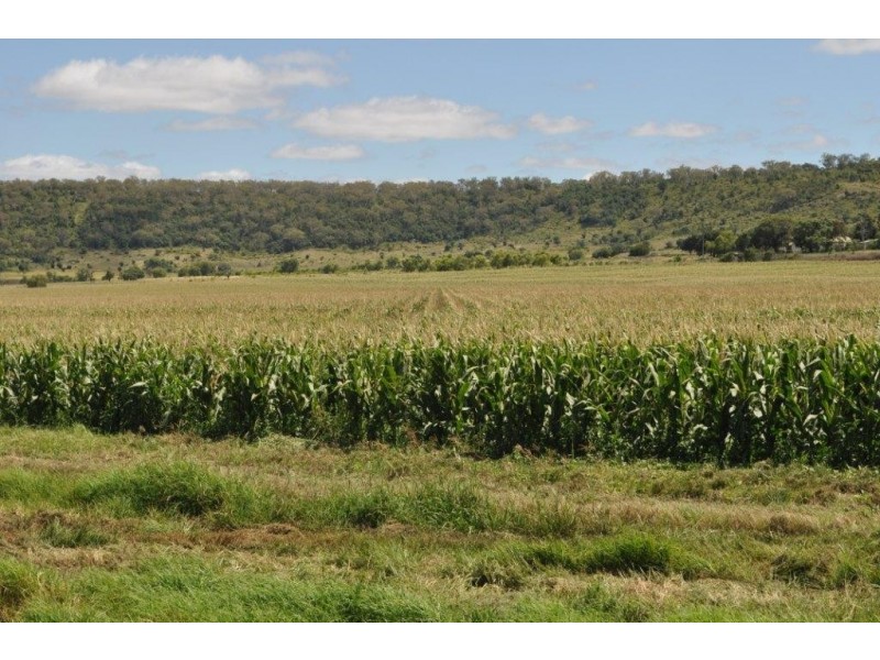 123 Glencoe Road, Kingsthorpe QLD 4400