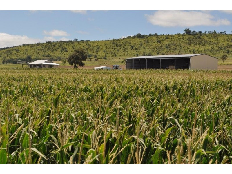 123 Glencoe Road, Kingsthorpe QLD 4400