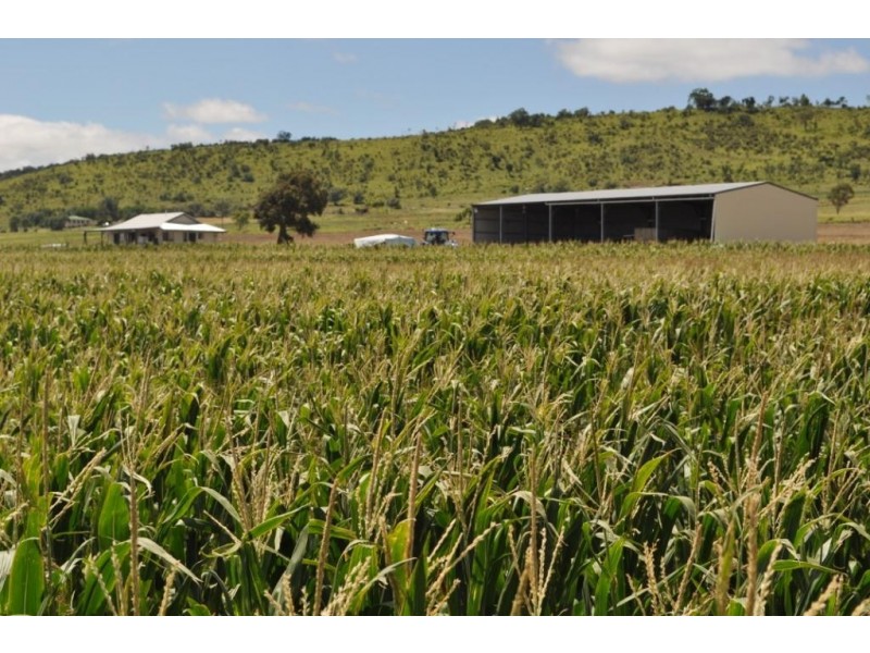 123 Glencoe Road, Kingsthorpe QLD 4400