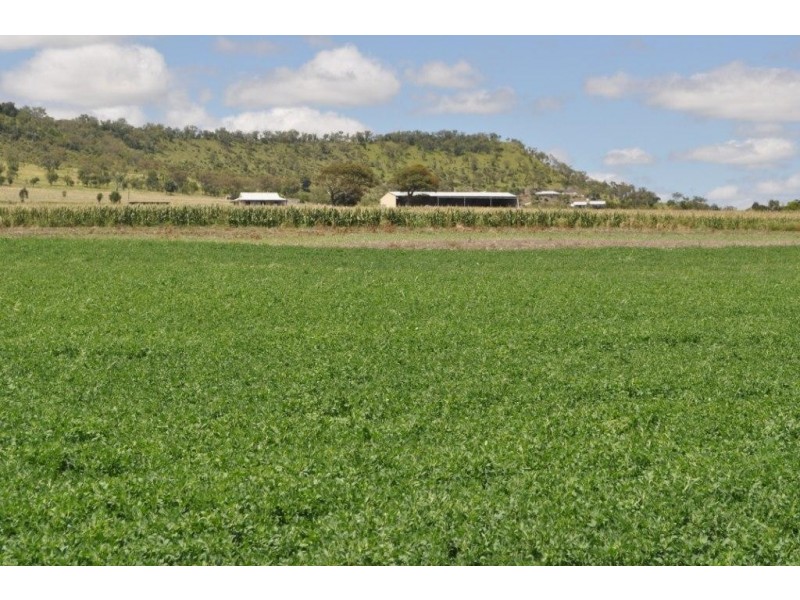 123 Glencoe Road, Kingsthorpe QLD 4400