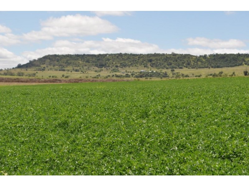 123 Glencoe Road, Kingsthorpe QLD 4400