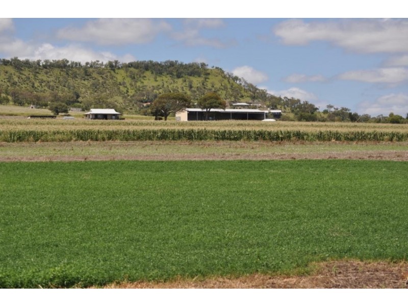 123 Glencoe Road, Kingsthorpe QLD 4400