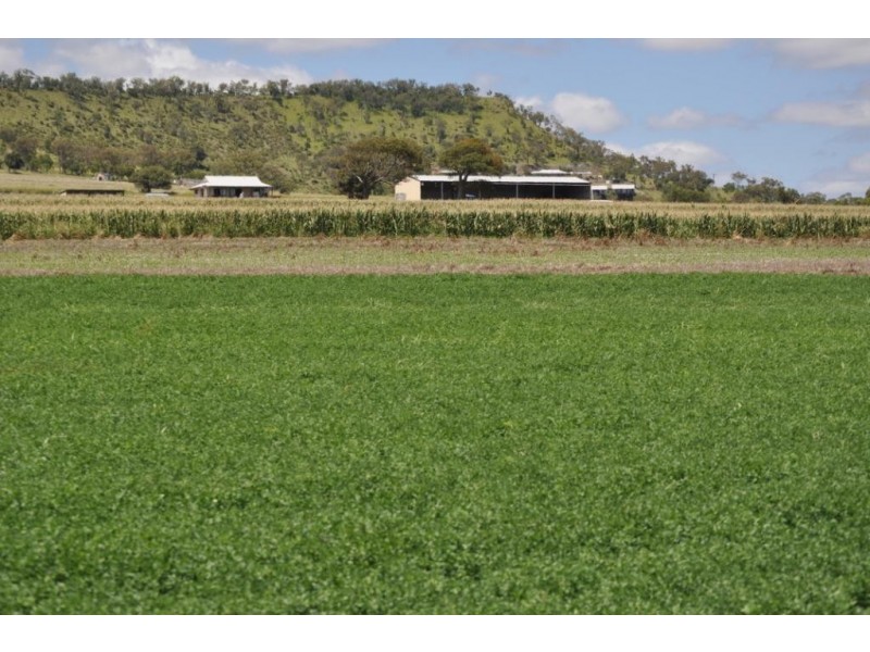 123 Glencoe Road, Kingsthorpe QLD 4400