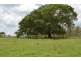 888 Nukinenda Road, Crows Nest QLD 4355