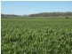 Aubigny QLD 4401