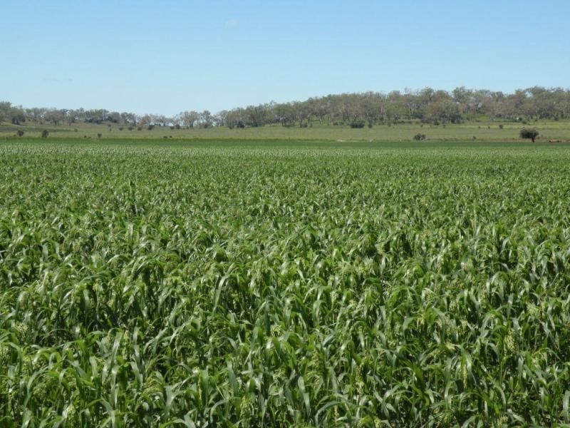 Aubigny QLD 4401