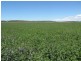 Aubigny QLD 4401