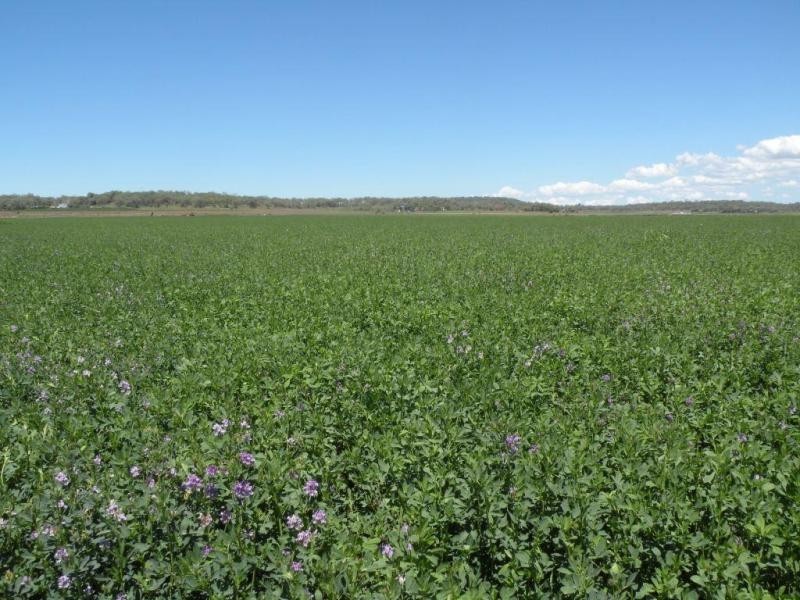 Aubigny QLD 4401