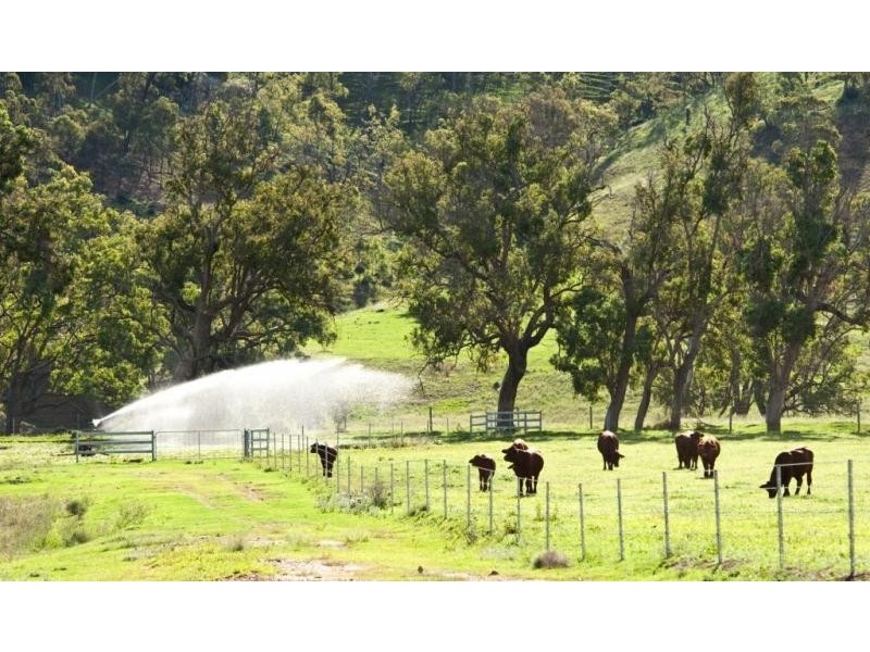 Groomsville QLD 4352