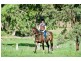 Groomsville QLD 4352