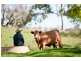 Groomsville QLD 4352