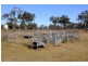 154 Lane Road, Kleinton QLD 4352