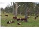 125 O’Connor Road, Crows Nest QLD 4355
