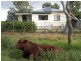 Pittsworth QLD 4356