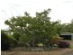 Pittsworth QLD 4356