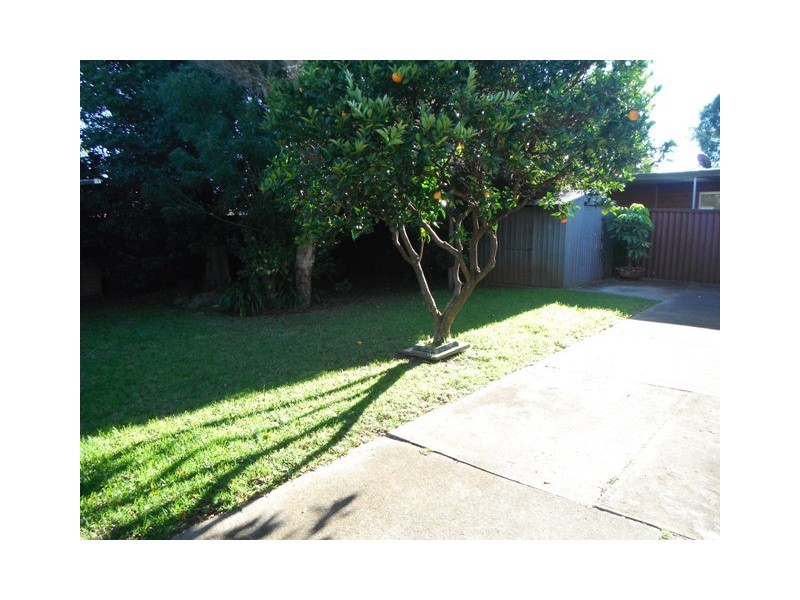 20 Bryan Street, Darling Heights QLD 4350