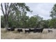 00 Kowitz Road, Oakey QLD 4401