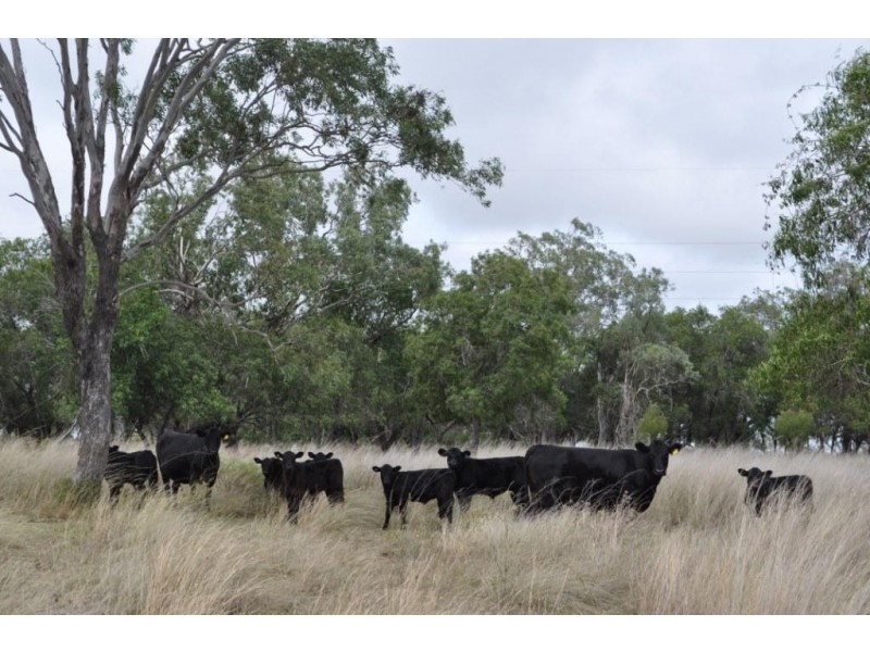 00 Kowitz Road, Oakey QLD 4401