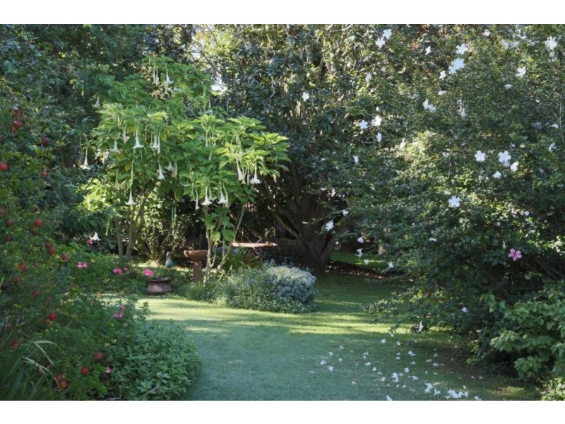 121 Tourist Road, Rangeville QLD 4350