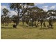 52 Berry Road, Vale View QLD 4352