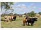 52 Berry Road, Vale View QLD 4352