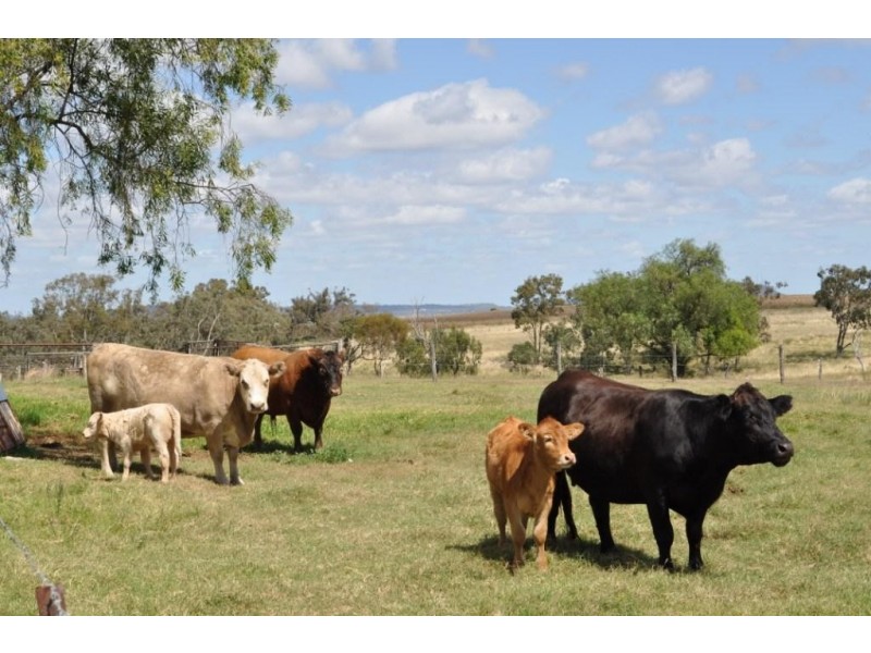 52 Berry Road, Vale View QLD 4352