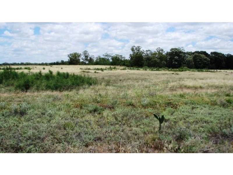 Yelarbon QLD 4388