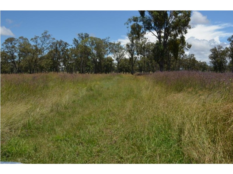 149 Maryvale Street, Allora QLD 4362