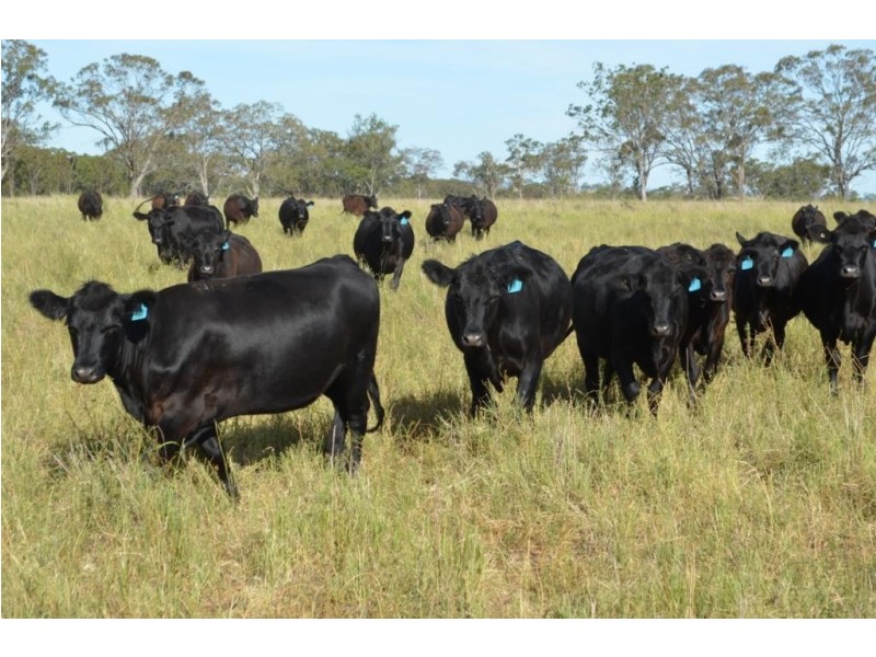 149 Maryvale Road, Allora QLD 4362