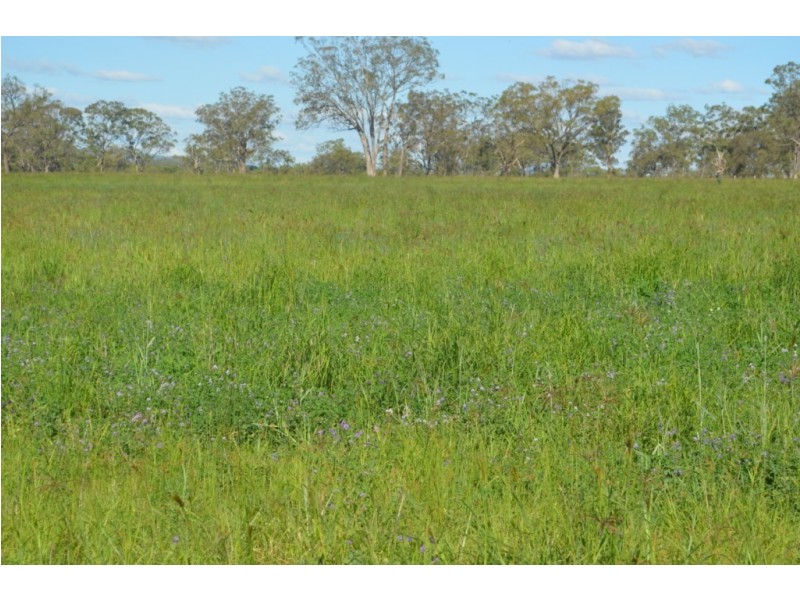 149 Maryvale Road, Allora QLD 4362