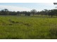 149 Maryvale Road, Allora QLD 4362