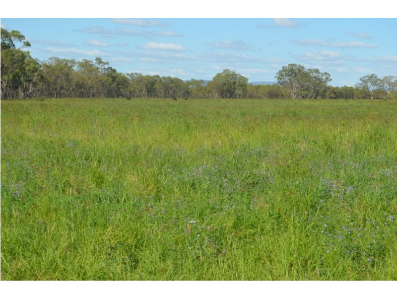 149 Maryvale Road, Allora QLD 4362