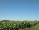 Irongate QLD 4356